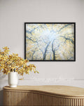 Forest Light canvas print by Diana Igare displayed in a contemporary neutral interior