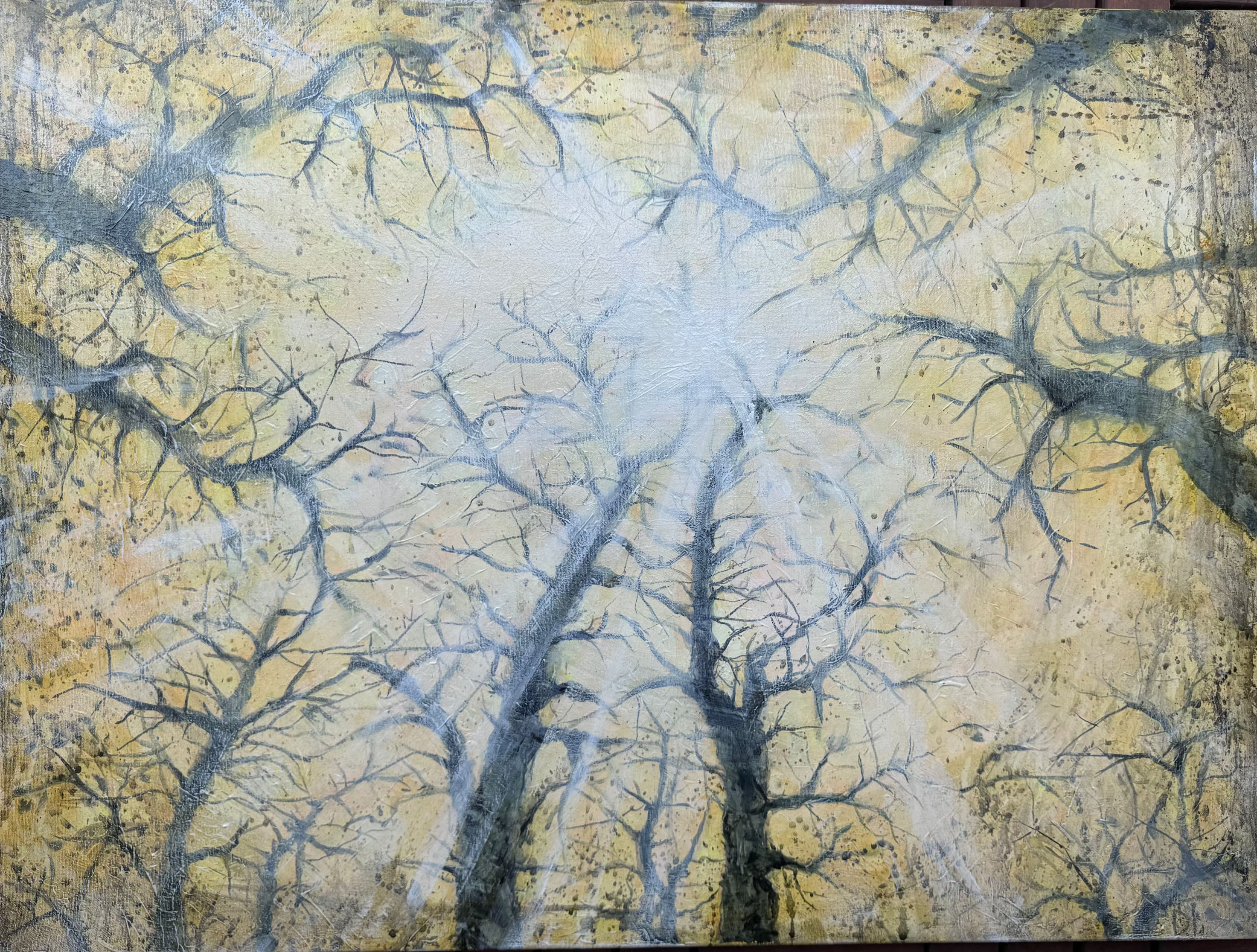 Forest Light limited edition canvas print by Diana Igare featuring golden light filtering through tree branches in a forest canopy
